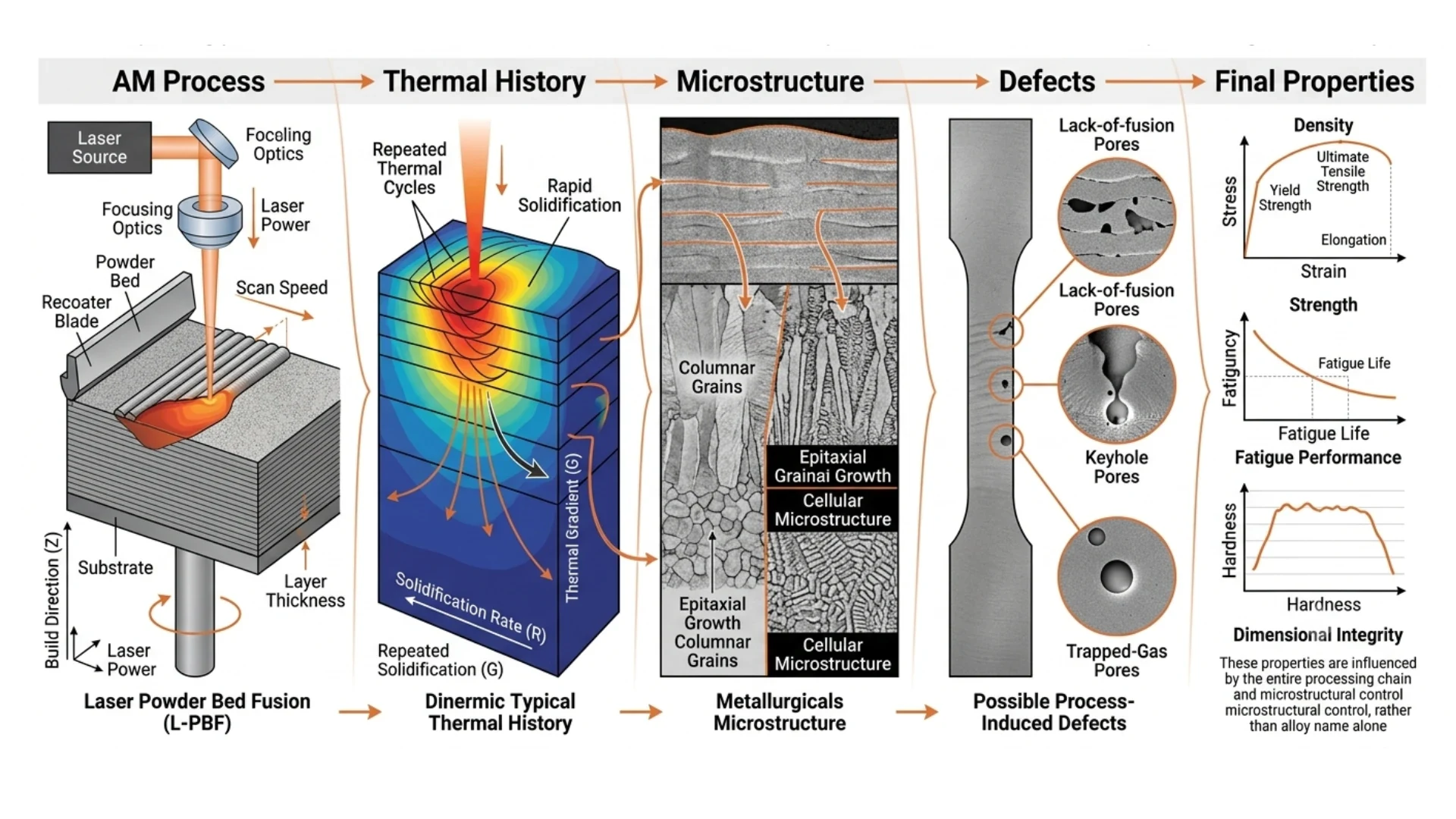 Diagram tracing laser powder bed fusion from the AM process through thermal history, microstructure and process-induced defects such as lack-of-fusion, keyhole and trapped-gas pores, to final properties including density, strength, fatigue performance and dimensional integrity